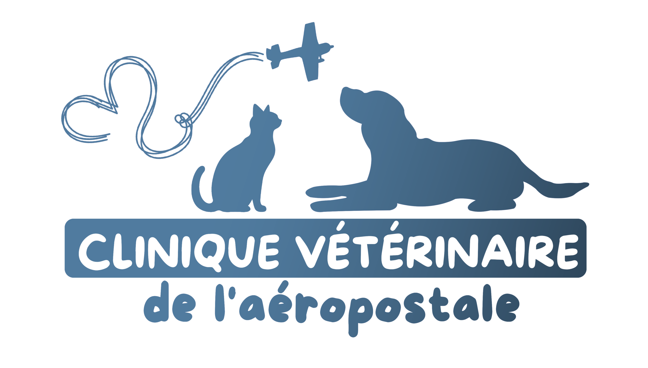 Clinique vétérinaire de l'aéropostale
